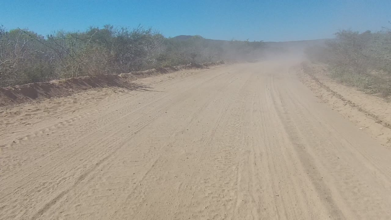 Los Cabos sandy dirt road seen from a vehicle viewpoint, with tire marks, dry shrubs along both edges, dust haze ahead, blue sky, and no visible people.