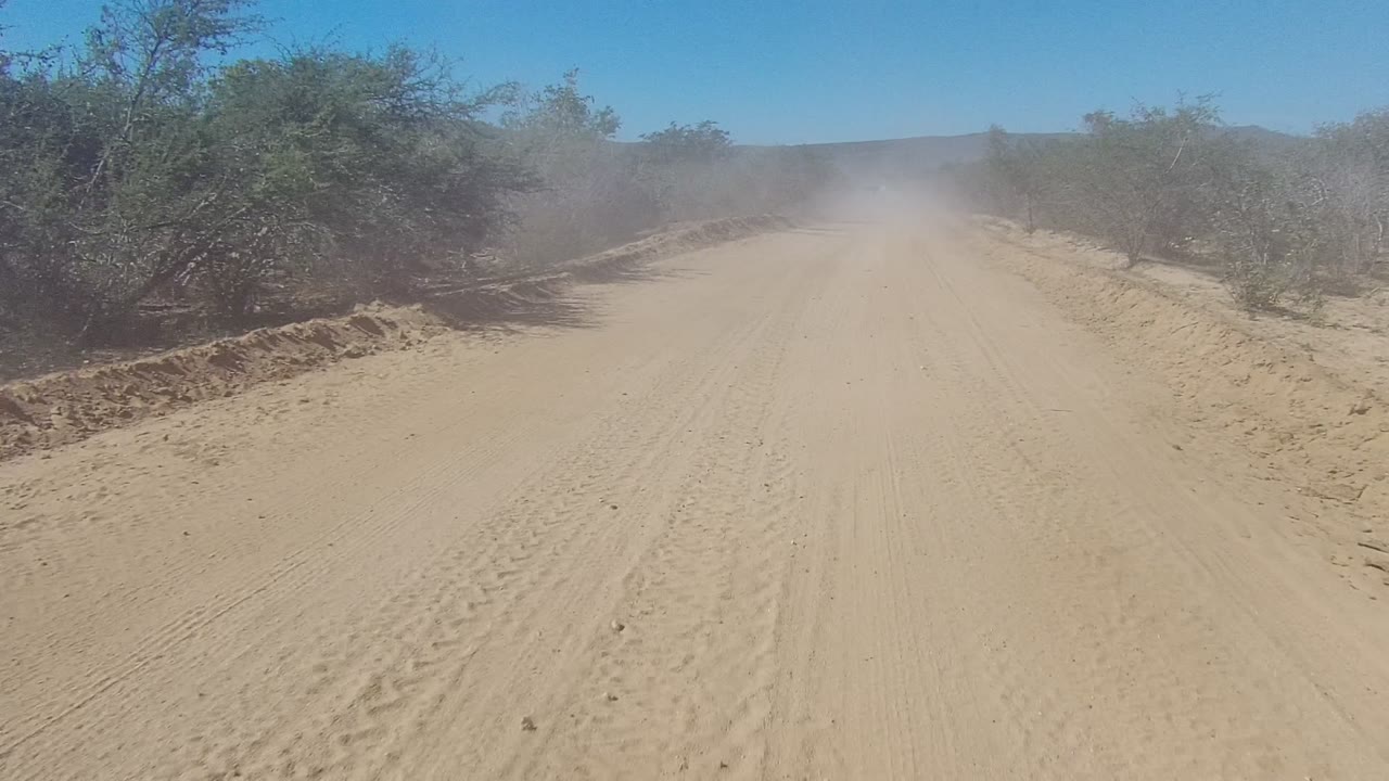 Los Cabos desert road passes between scrubby bushes, with a slightly shifting road line, sandy ruts, dust ahead, open blue sky, and no visible people.