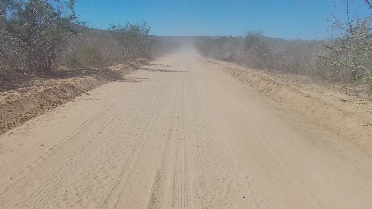 A sandy dirt road in Los Cabos runs forward between sparse dry bushes, with a pale dust cloud ahead under a clear blue sky and no visible people.