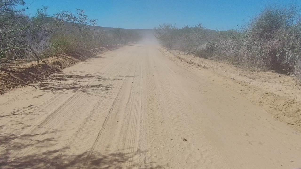 Dusty road with brush close to both shoulders