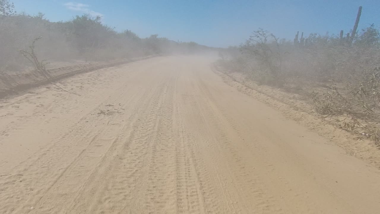 Sandy dirt road in Los Cabos, Baja California Sur with tire tracks, roadside shrubs, cactus silhouettes, haze of dust ahead, and no visible people.