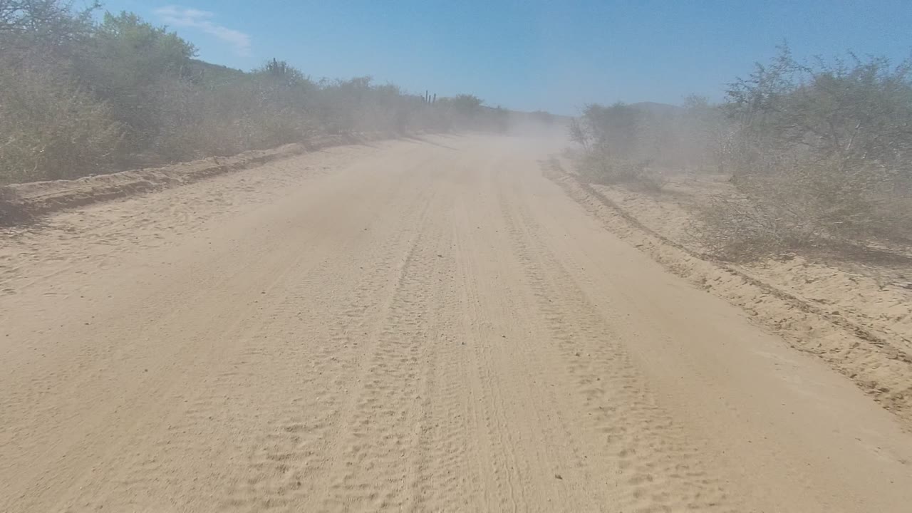 Straight sandy track fading into dust between desert bushes.