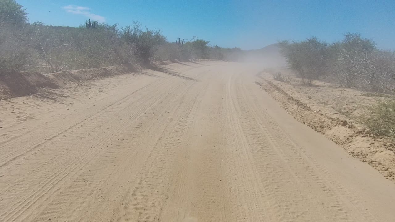 A sandy road split or bend in Los Cabos passes through low desert scrub, with tire ruts in the foreground, dust over the track, distant hills, and no visible people.