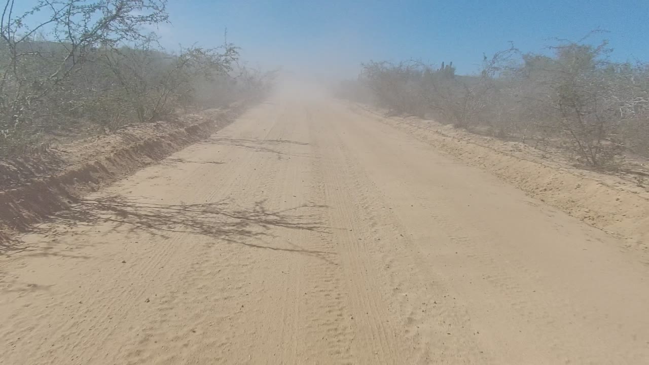 A forward view down a sandy dirt road in Los Cabos, Baja California Sur, with tire tracks, roadside scrub, a dust cloud ahead, blue sky, and no visible people.