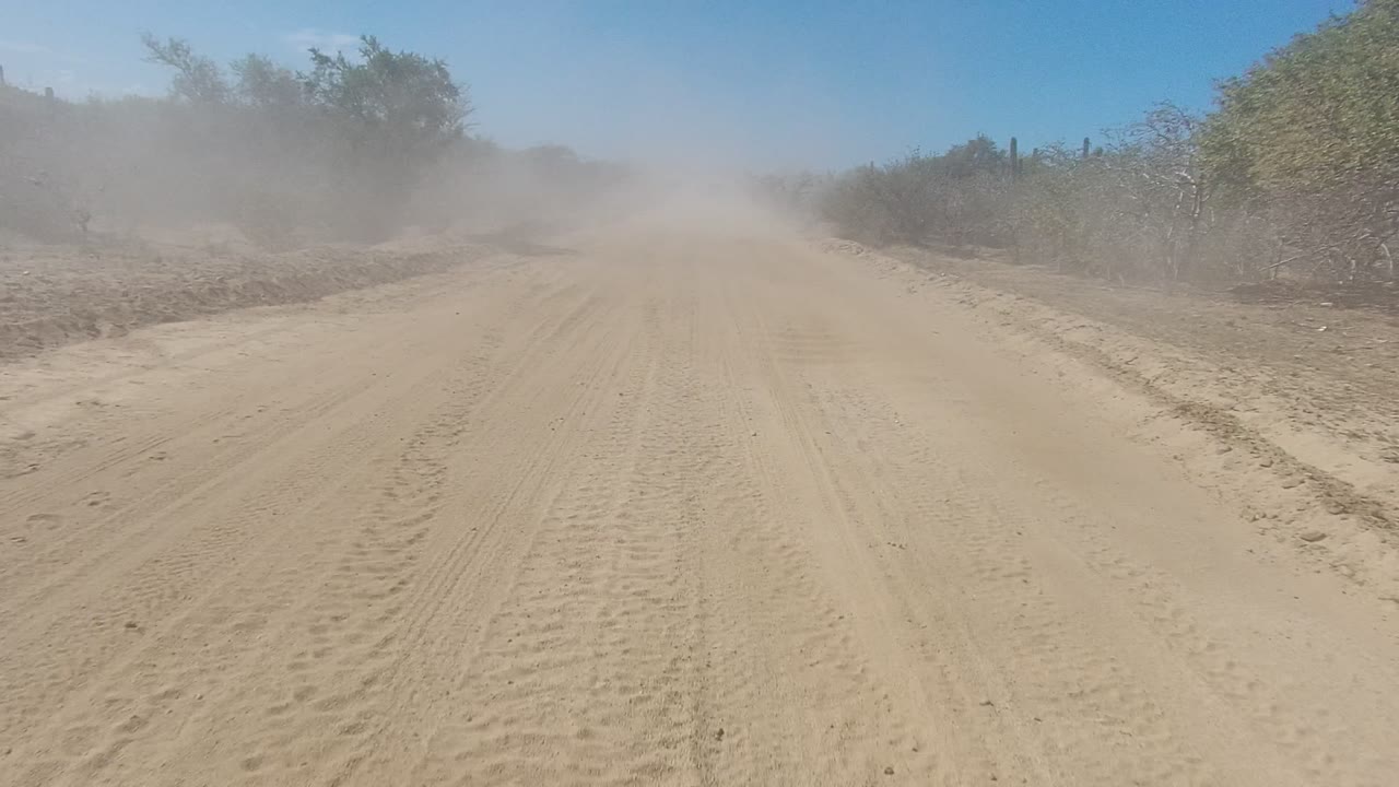 Straight desert dirt road disappearing into dust and roadside brush.