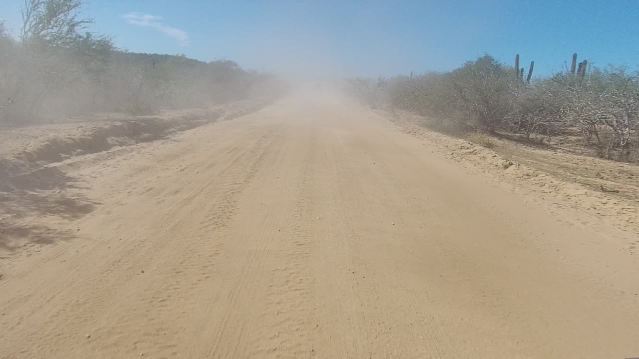 A dusty Los Cabos desert track runs through scrubby vegetation, with tall cacti visible on the right side and no visible people in the frame.