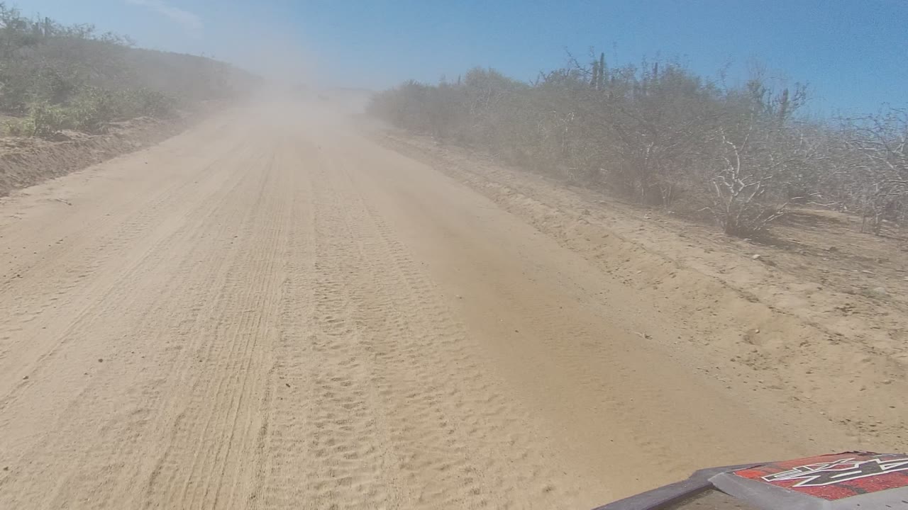 Dusty dirt road running between dry brush and cactus under blue sky.