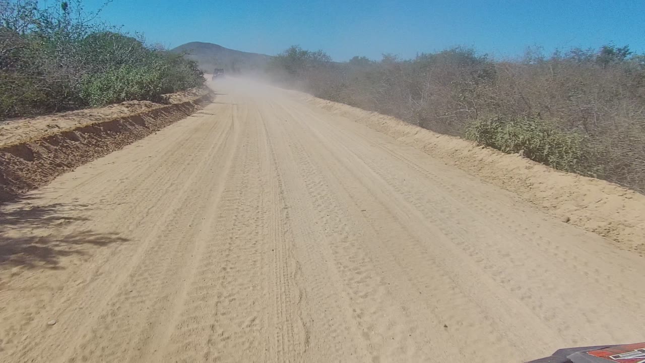 Dusty desert road curving slightly between brush.