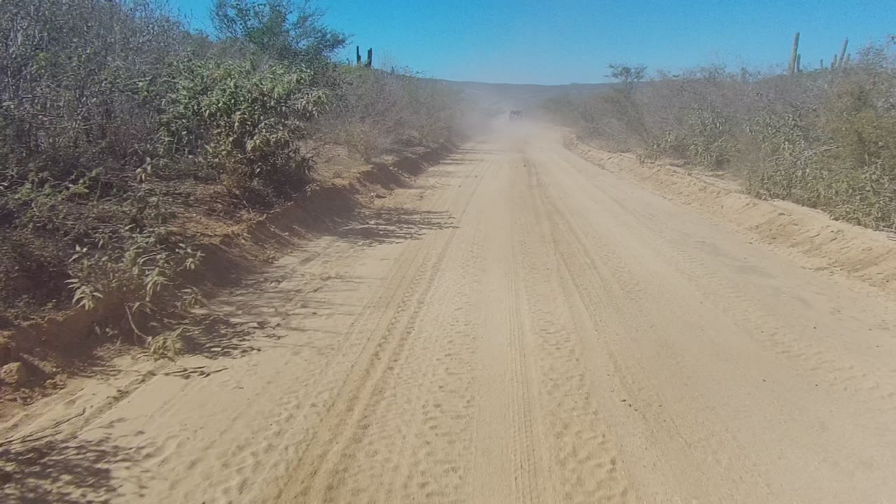 A sandy dirt road in Los Cabos, Baja California Sur runs between dry shrubs toward a distant dust cloud, with no visible people.