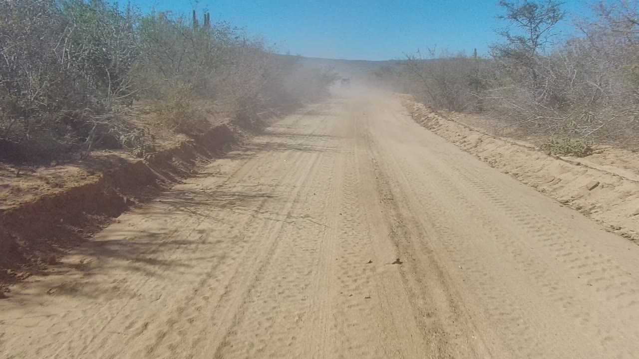 Dusty road bordered by scrub and cactus under blue sky