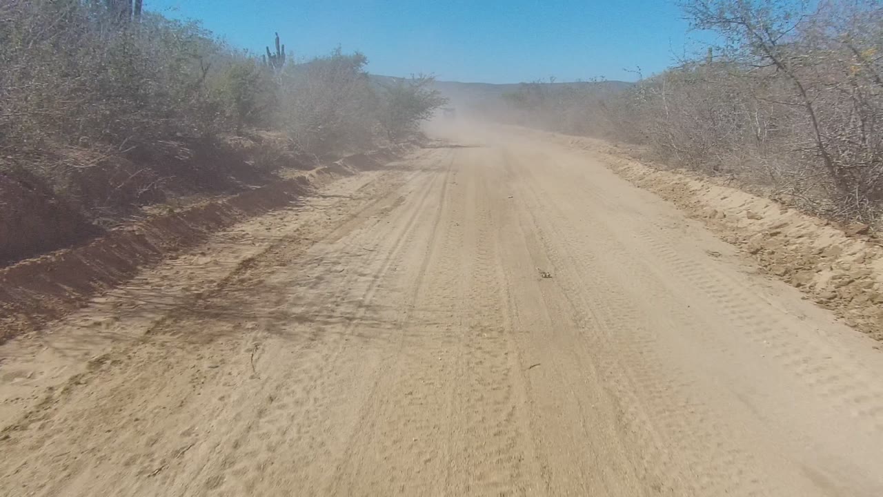 An empty sandy road in Los Cabos stretches toward a hazy dust cloud, framed by dry shrubs on both sides and a clear sky above, with no visible people.