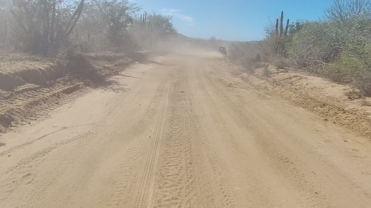 Wide view of a sandy dirt road in Los Cabos, Baja California Sur with tire tracks, roadside shrubs, tall cactus, distant dust, and no visible people.