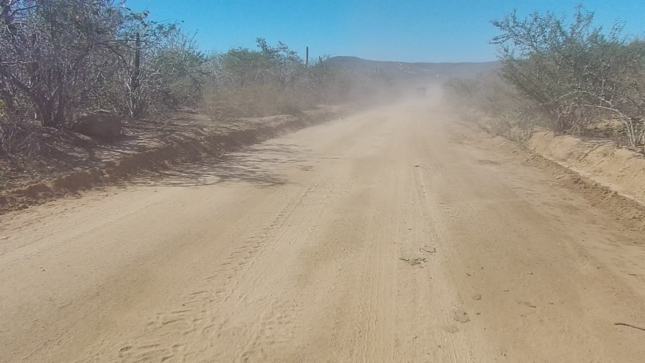 A dusty Los Cabos dirt road passes close to dry roadside bushes, with tire marks in the sand and no visible people.