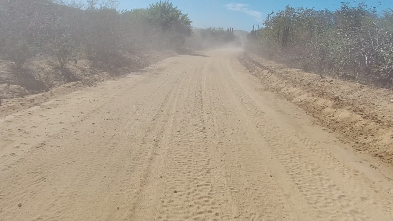 A sandy dirt road in Los Cabos, Baja California Sur stretches forward between desert shrubs and cacti, with a pale dust haze ahead and no visible people.
