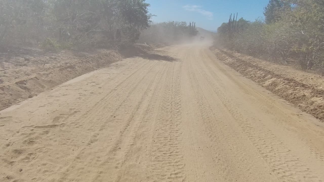 Arid road with tire tracks and dust drifting ahead