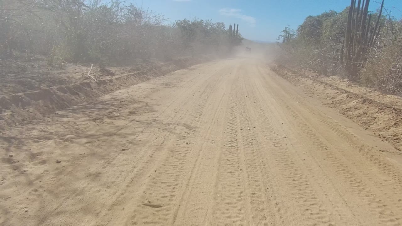 The Los Cabos dirt road remains centered with tall cacti on the right, scrub on both sides, and a distant dust cloud partly obscuring the far vehicle, with no visible people.