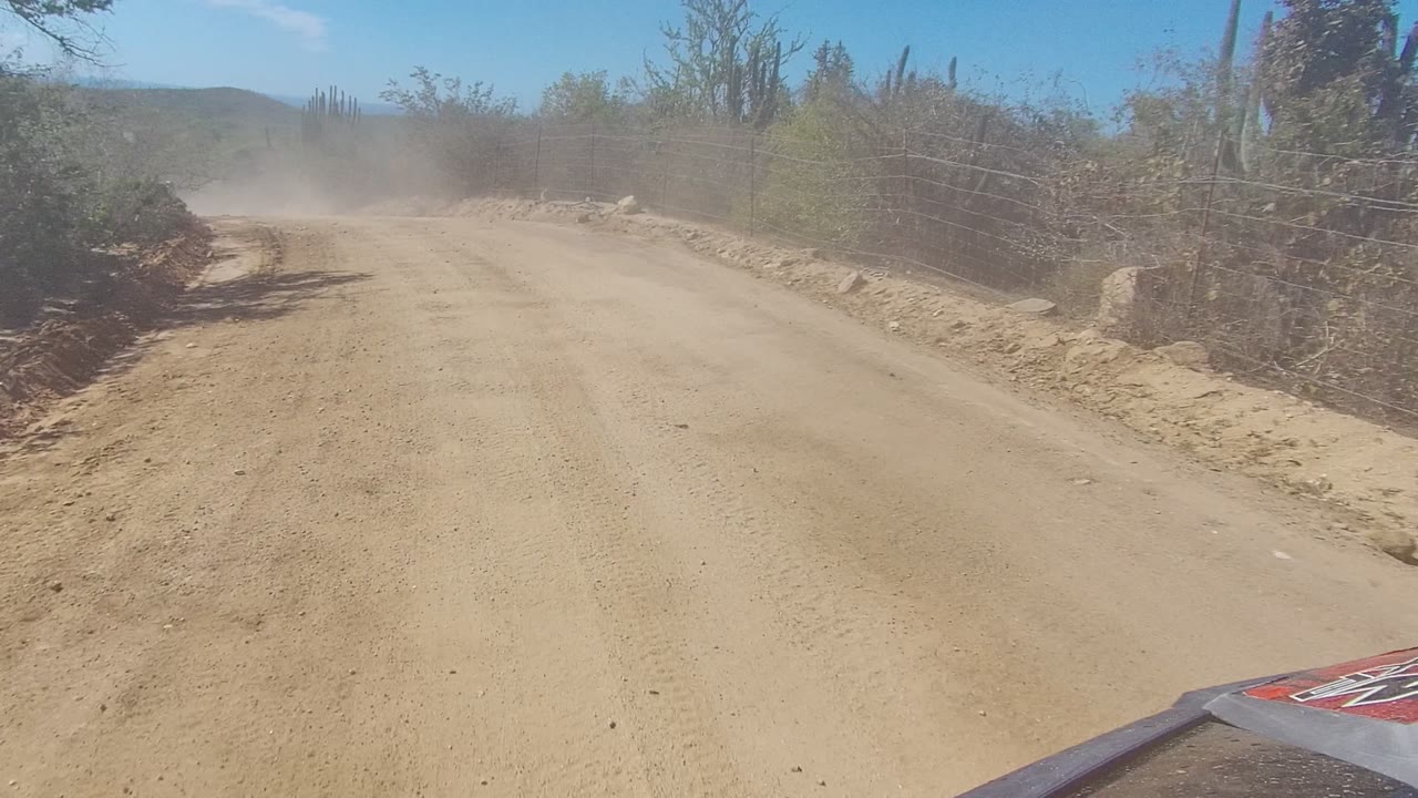 A dusty unpaved road bends slightly through Los Cabos desert brush, with cacti rising near the right fence line and no visible people.