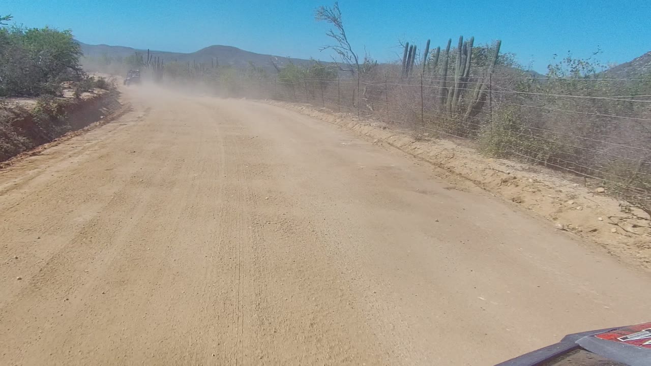Vehicle ahead on a dusty road bordered by cacti and scrub.