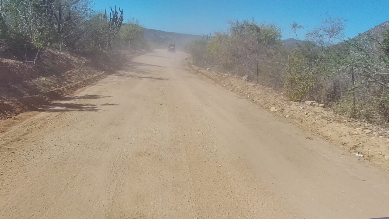 Cactus-lined dirt road with dust hanging over the track