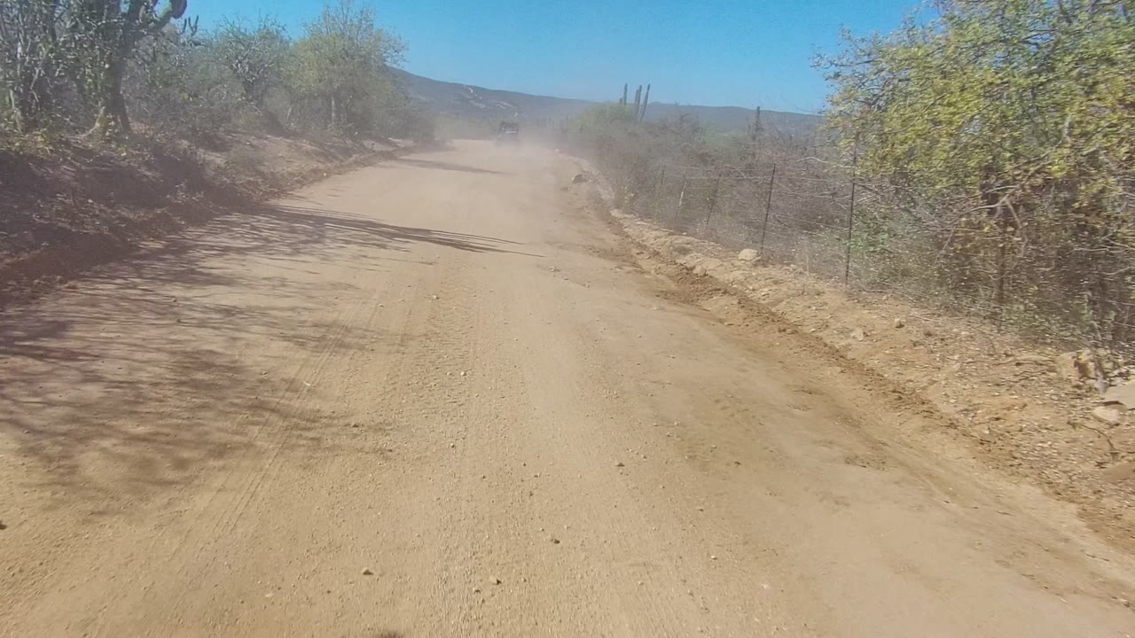 A wide dirt road in Los Cabos curves gently through dry brush, cactus, and roadside fencing, with a faint vehicle and dust plume far ahead and no visible people.