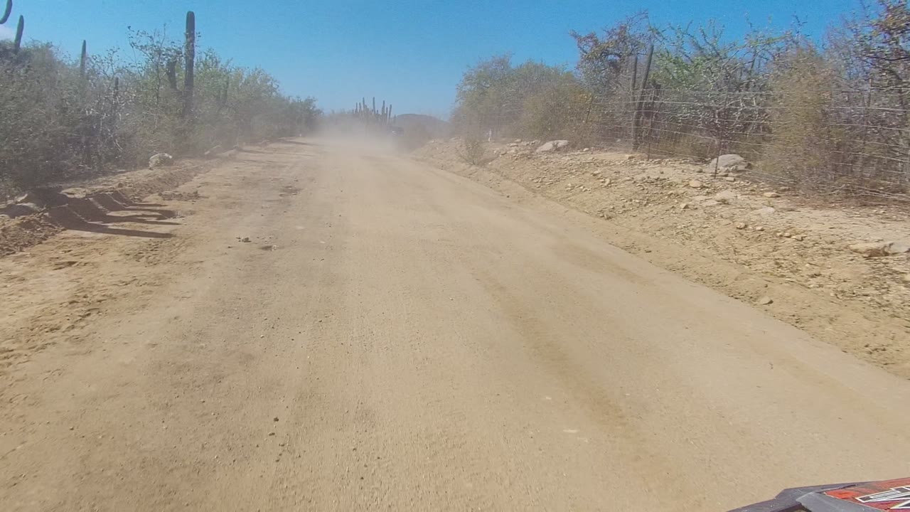 Los Cabos dirt road seen from a moving vehicle perspective, with sandy tracks, scrubby roadside vegetation, tall cacti in the distance, dust ahead, and no visible people.