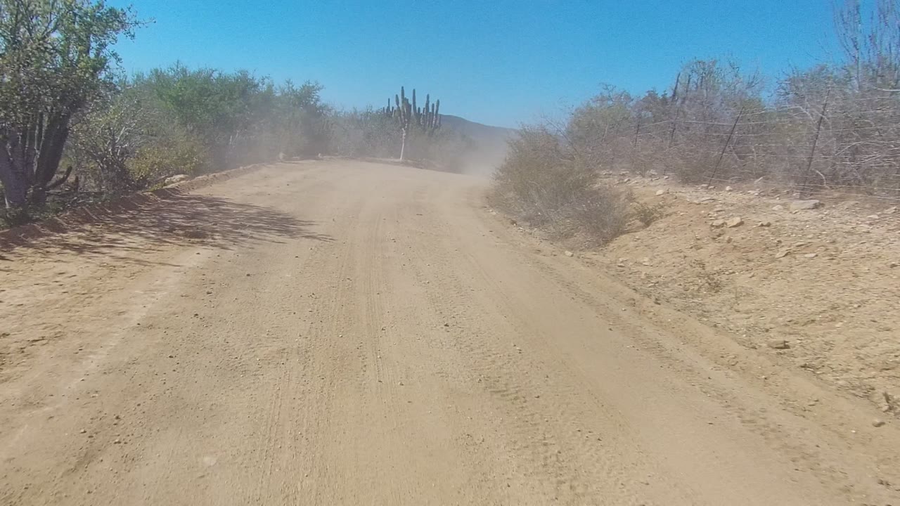 The Los Cabos road bends gently through dry scrub, with a broad dusty track in the foreground, pale dust drifting over the midground, cacti near the horizon, and no visible people.