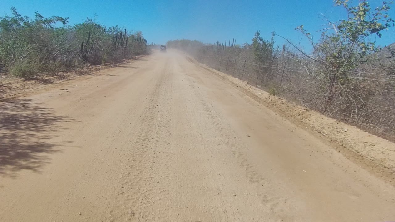 A sandy dirt road in Los Cabos, Baja California Sur stretches ahead between dry shrubs and cactus, with dust hanging in the distance and no visible people.