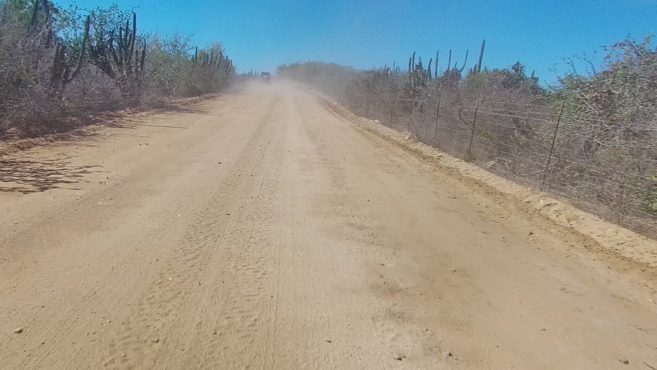 Sandy road with dust ahead, cactus and scrub along both sides.
