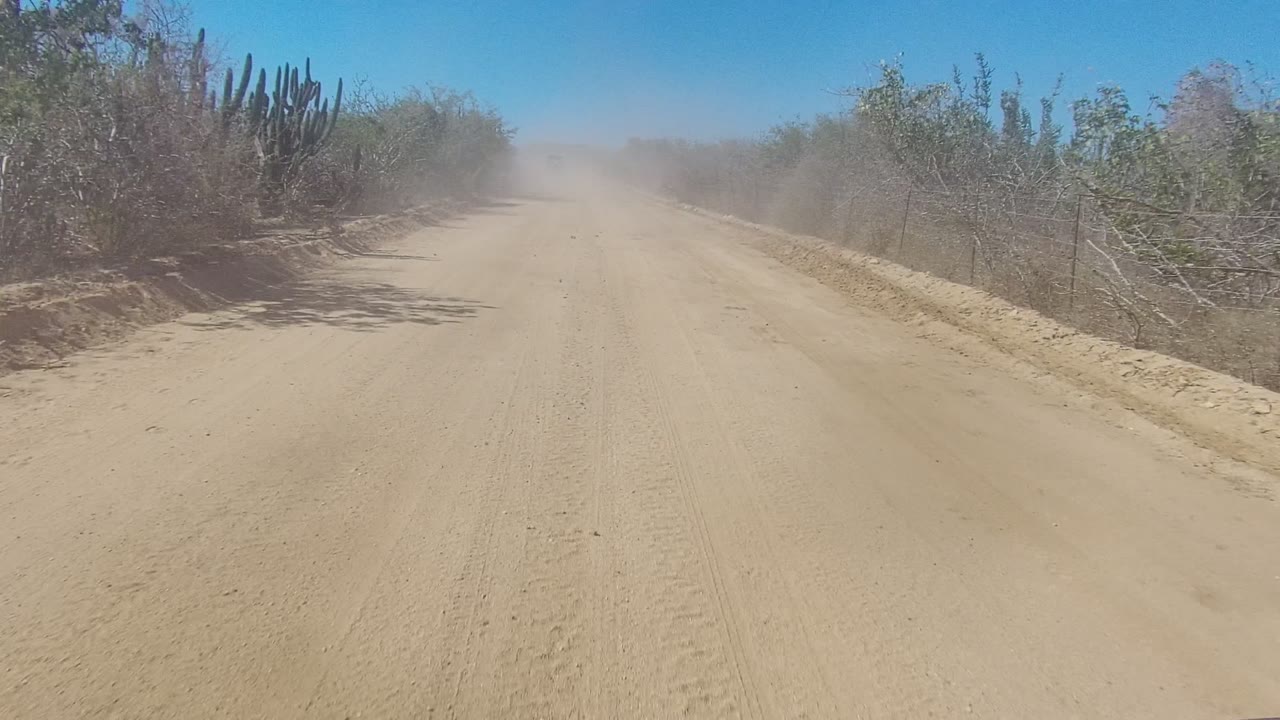 A sandy dirt road in Los Cabos, Baja California Sur runs between cacti and dry brush under a clear blue sky, with no visible people.