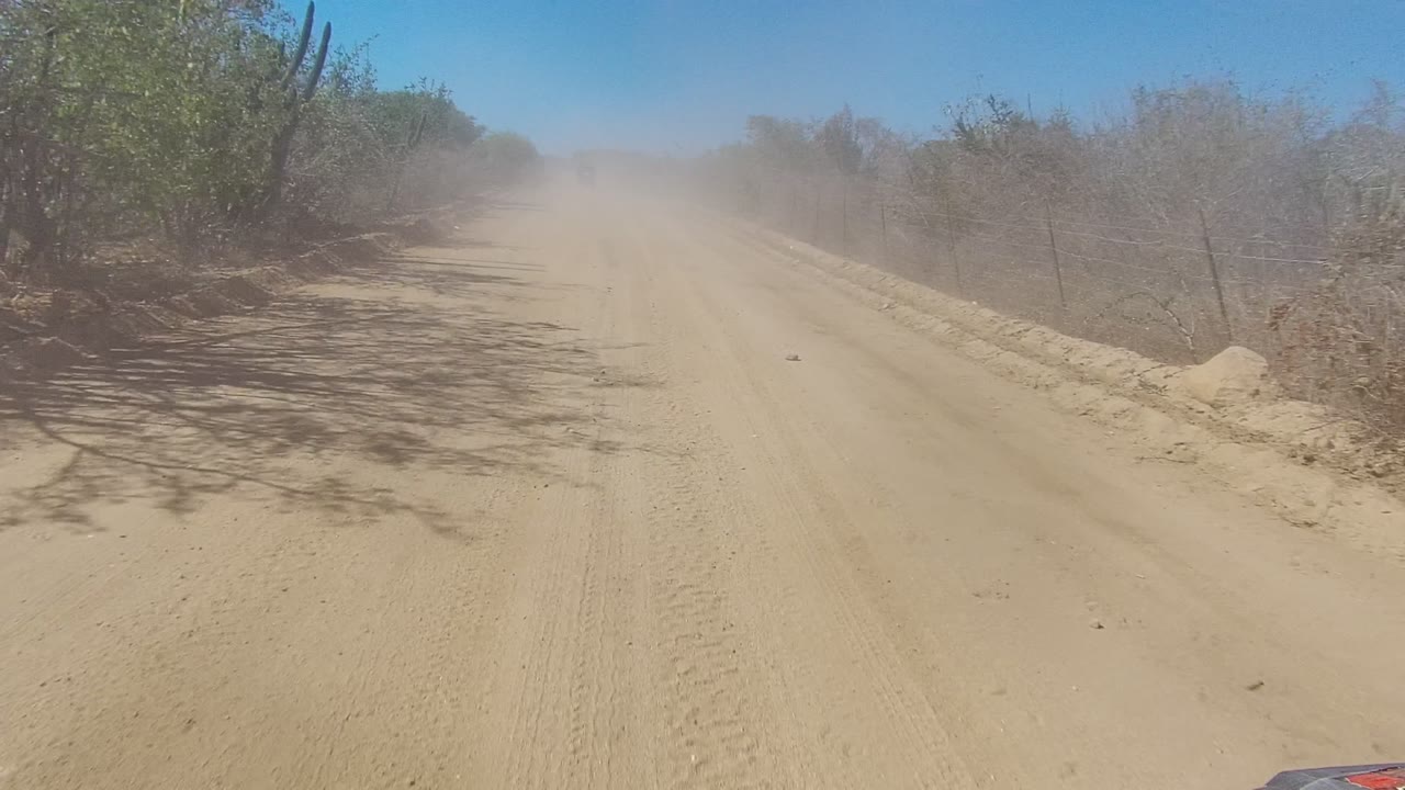 A broad sandy road in Los Cabos passes dry brush and cacti, with hard sunlight creating roadside shadows and haze from dust ahead, with no visible people.