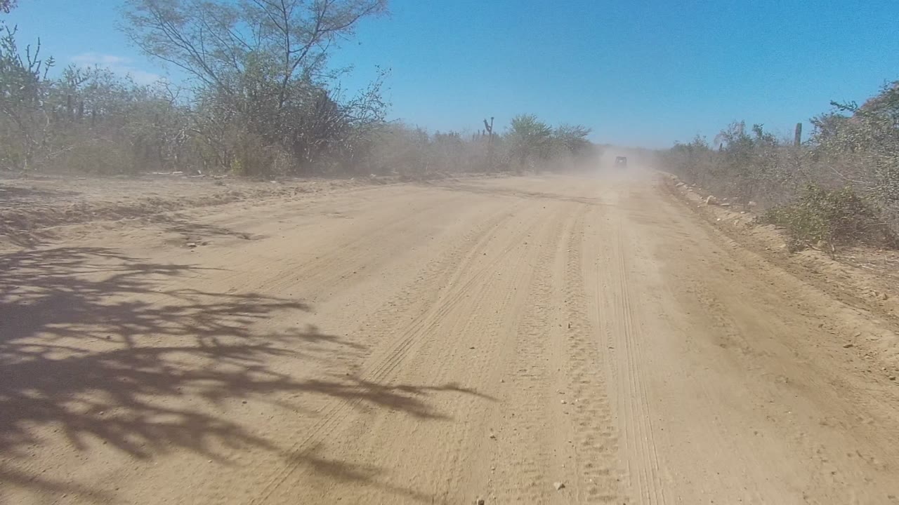 Los Cabos sandy dirt road viewed from a low forward angle, with a pale dust cloud ahead, dry roadside shrubs, tree shadows, clear blue sky, and no visible people.