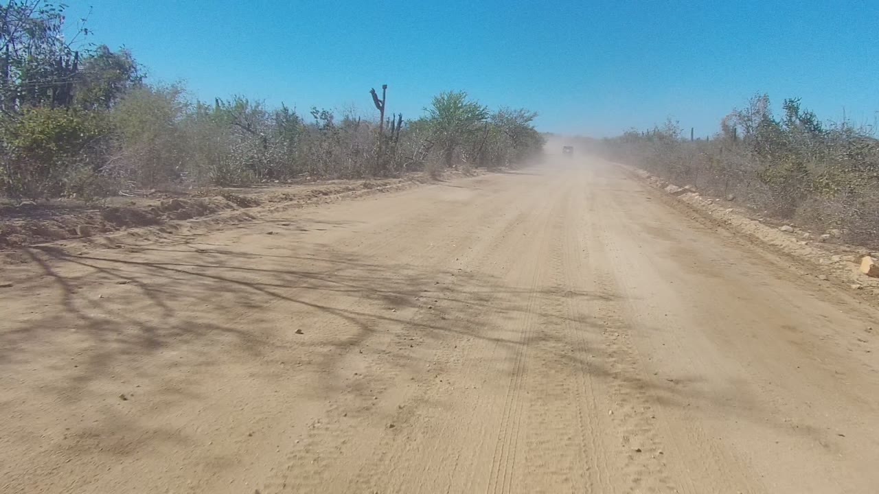 Dusty dirt road curving slightly past shrubs and cacti.