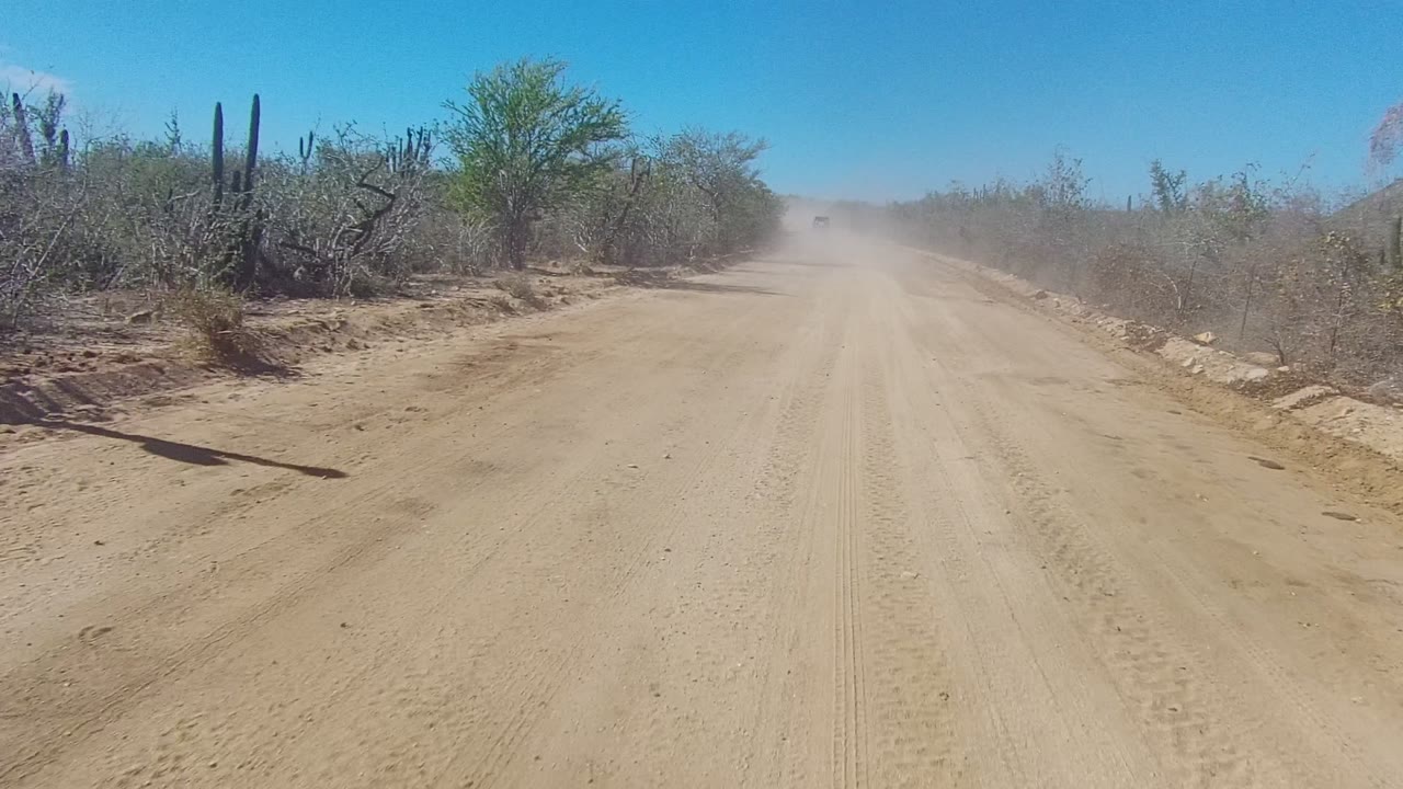 Los Cabos desert road fills the frame with tire marks in the sand, taller cactus forms along the right shoulder, a distant dust cloud, and no visible people.