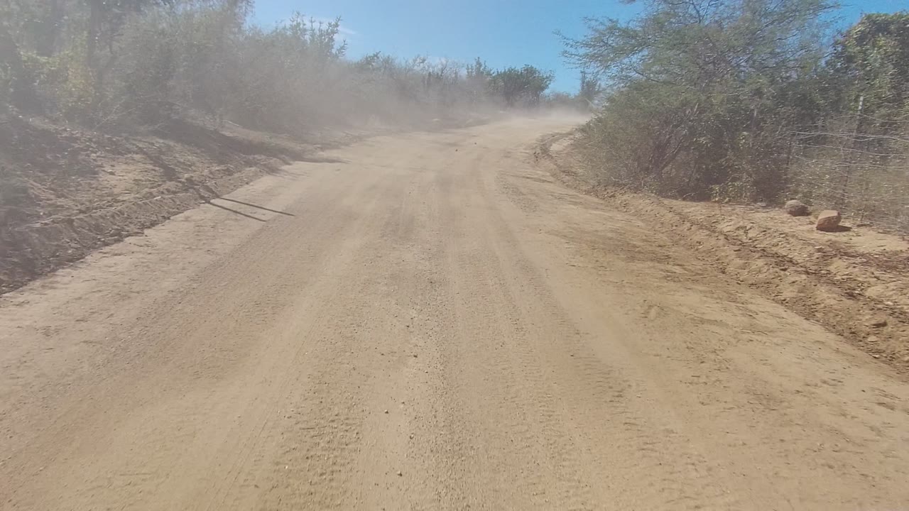 Sandy road in Los Cabos, Baja California Sur bordered by dry bushes, with tire tracks and a light dust cloud ahead, no visible people.
