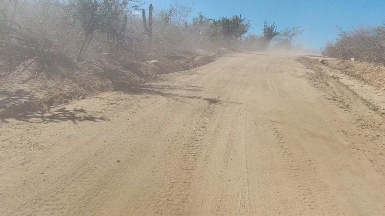 A sandy road in Los Cabos bends gently past roadside brush and tall cacti, with vehicle dust softening the far end of the track, no visible people.