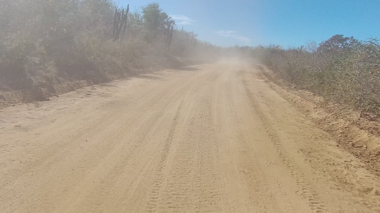 A sandy dirt road in Los Cabos, Baja California Sur stretches ahead between dry brush and tall cacti, with dust beginning to haze the distance and no visible people.