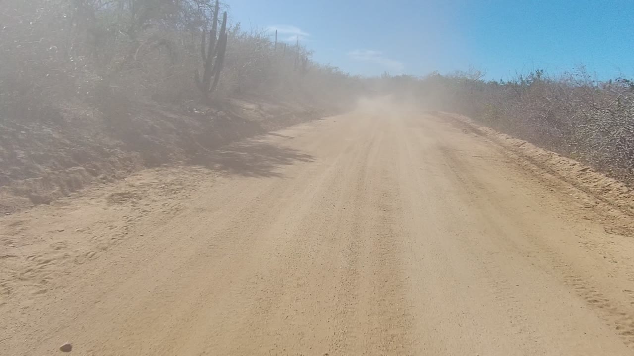 Dirt road curving slightly through dry vegetation with dust ahead.