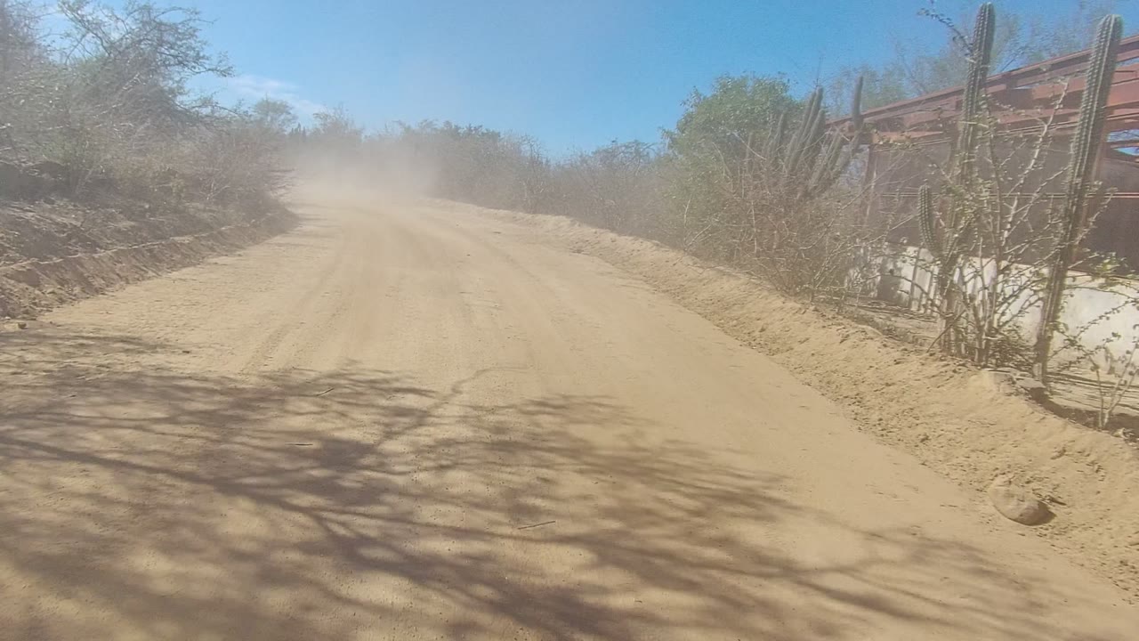 At 0:02 in Los Cabos, a pale sandy road curves past tall cactus and dry brush with dust softening the horizon, and no visible people.