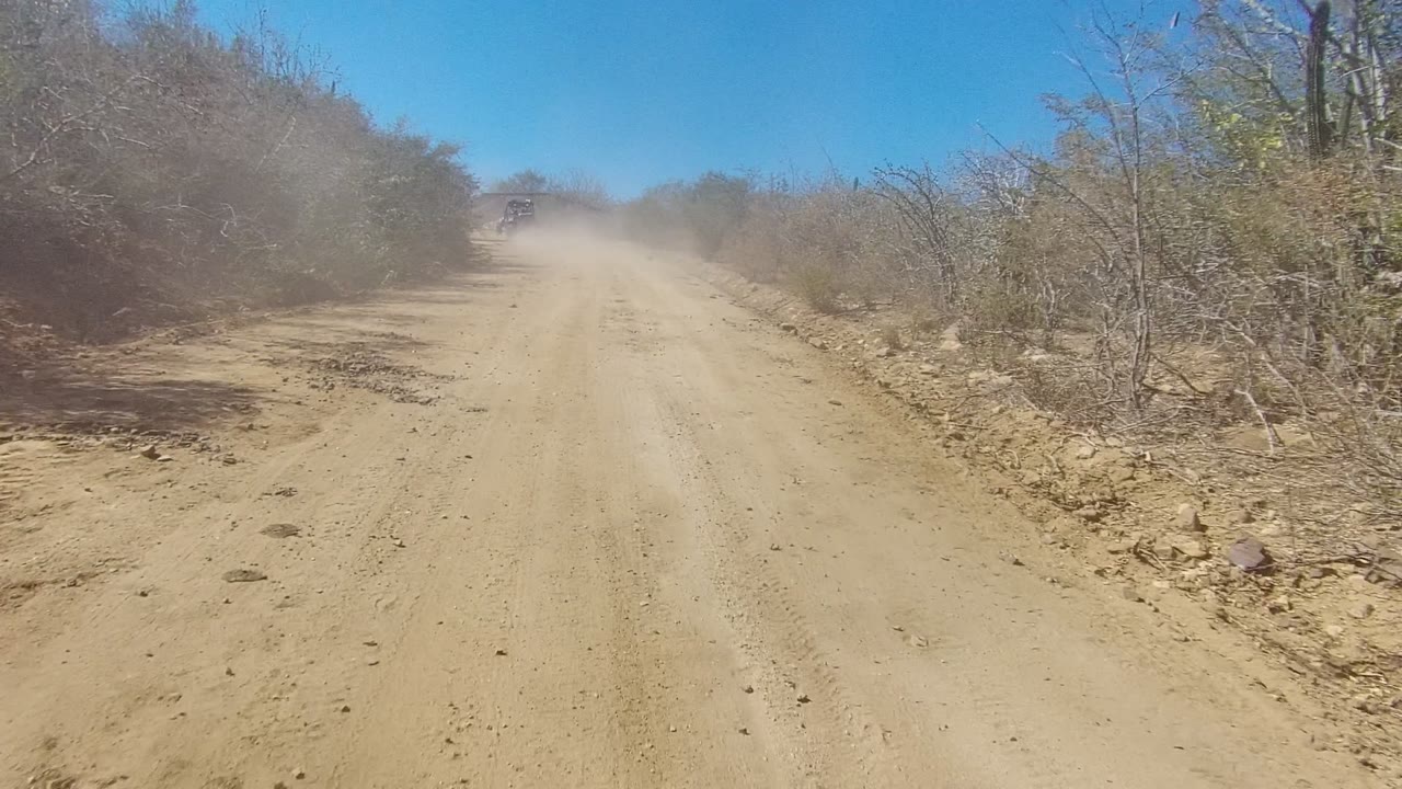 Forward view down a dusty dirt road in Los Cabos, Baja California Sur, with dry brush on both sides, a pale dust cloud ahead, and no visible people.