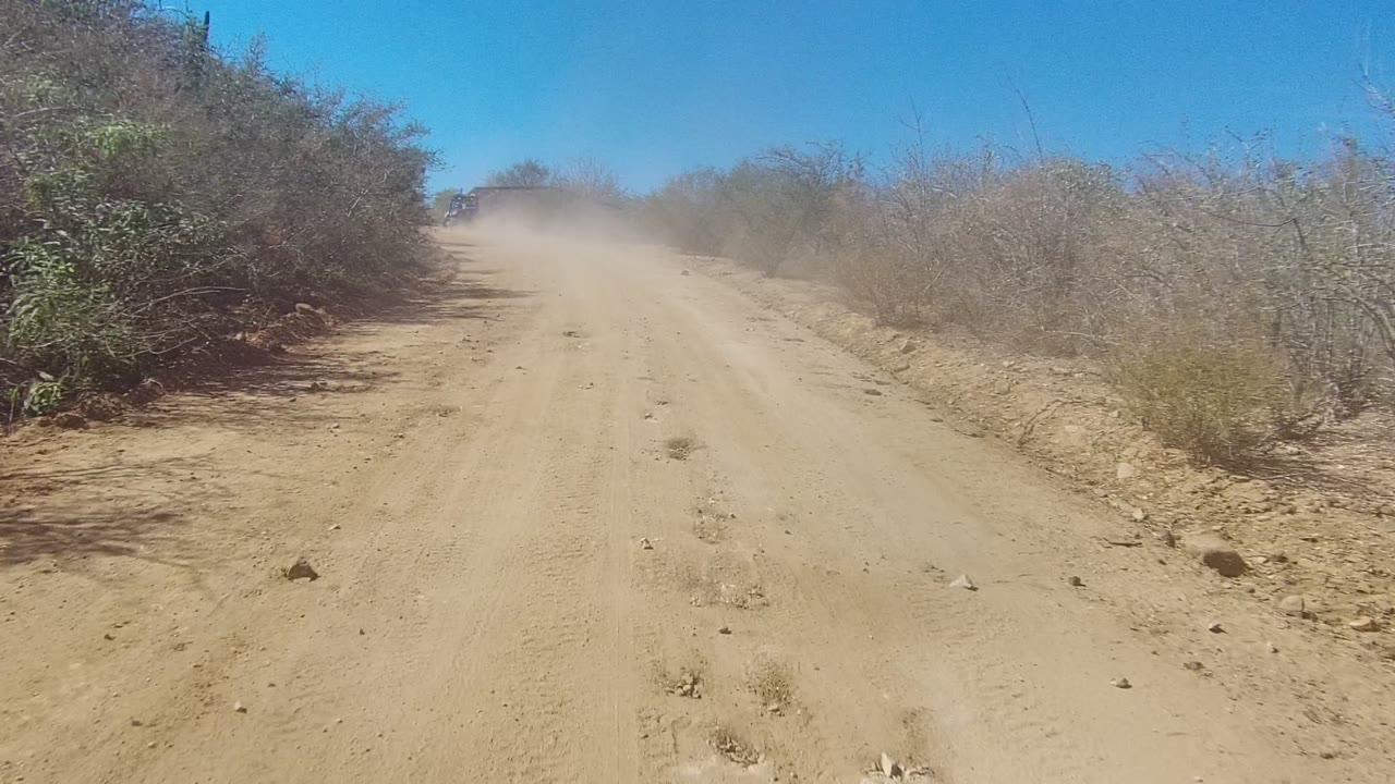Sandy road curving slightly through dry roadside vegetation