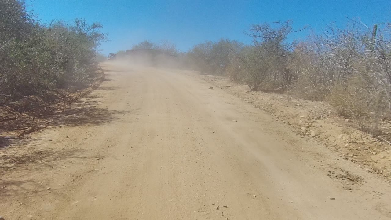 A centered dirt road in Los Cabos fades into a heavier dust cloud, bordered by sparse shrubs and bare branches with no visible people.