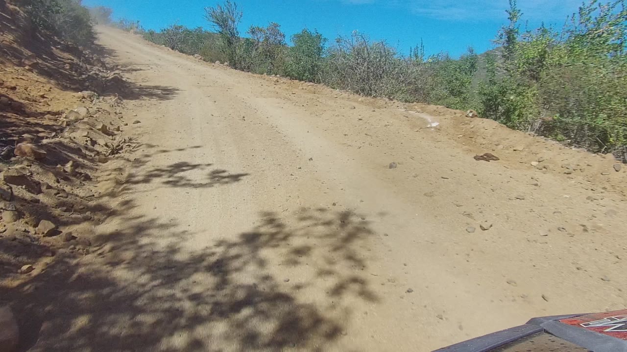 Dusty dirt road rising past roadside brush with tree shadows on the surface.
