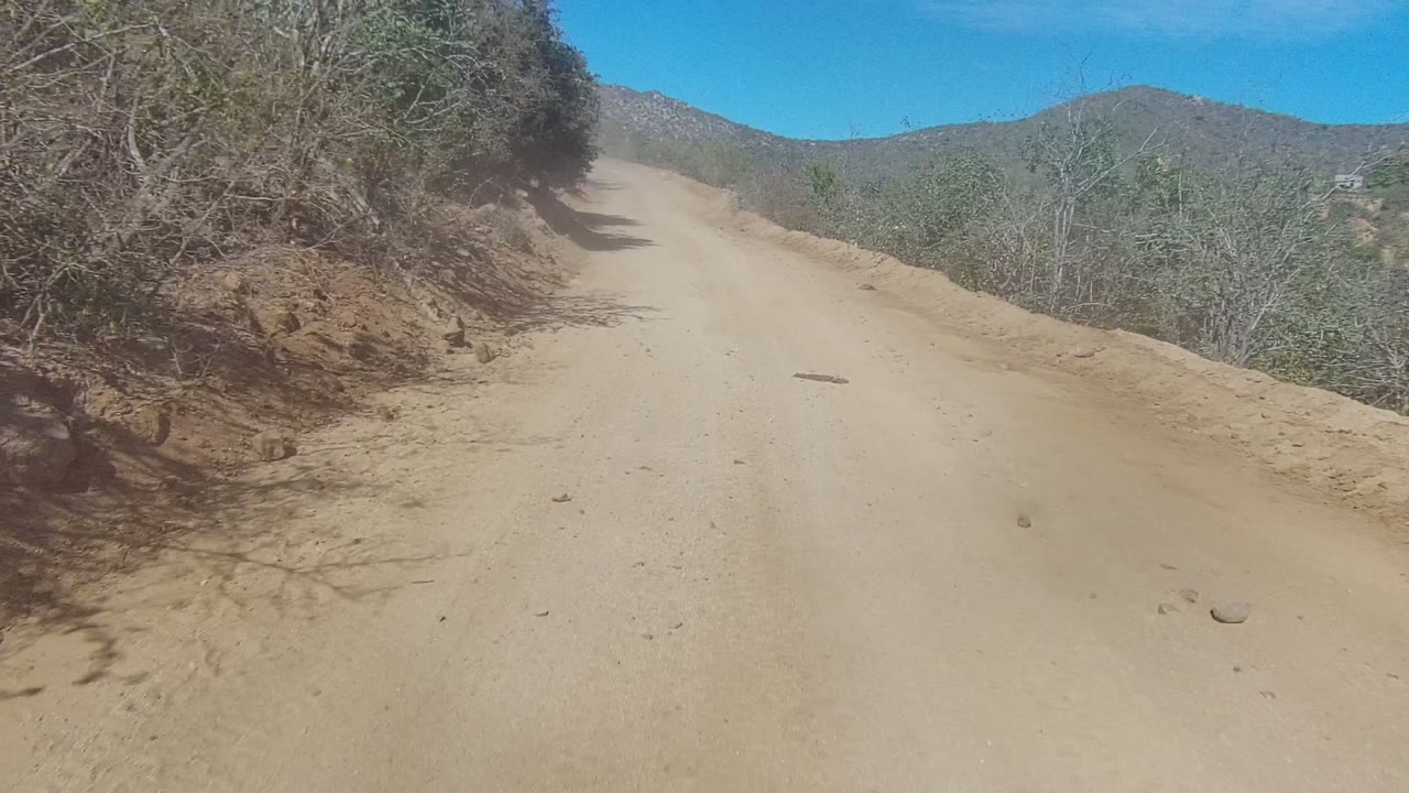 Curving dirt road with dry brush and hill beyond.