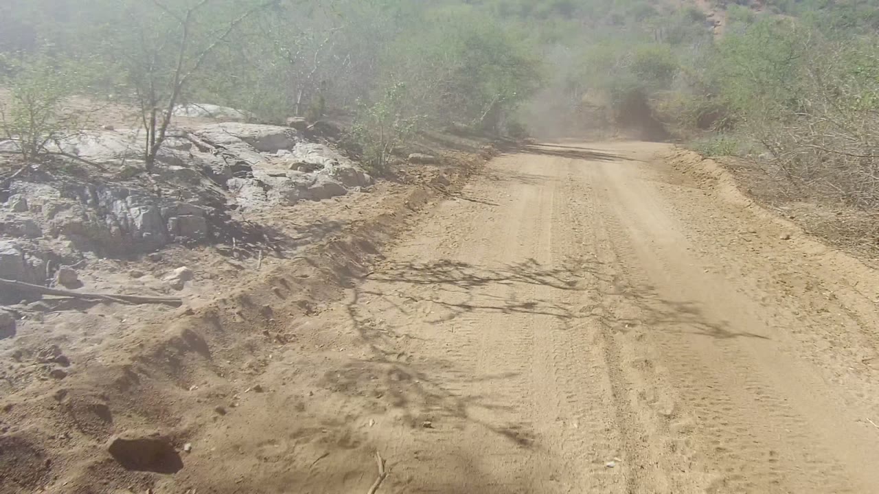 Sandy track curving past pale rocks and sparse shrubs.