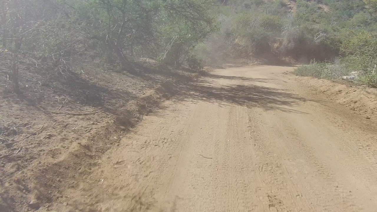 A straighter section of the Los Cabos dirt road fills the center with tire marks, dry brush, and tree shadows stretching across the sand, no visible people.