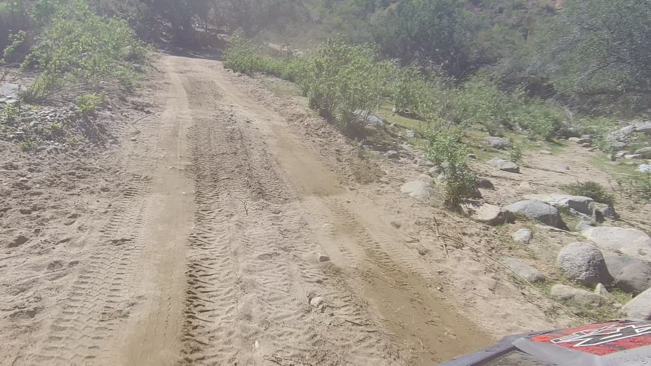 A sandy dirt road in Los Cabos, Baja California Sur, runs uphill between green brush, scattered rocks, and trees, with no visible people.