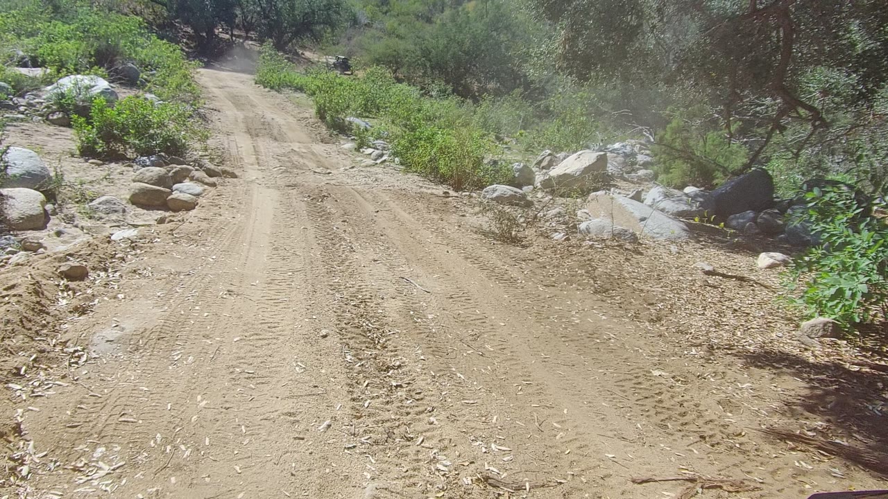Mid-approach frame on the Los Cabos dirt road with the central track stretching ahead, bright dust haze, darker trees above the path, roadside rocks, and no visible people.