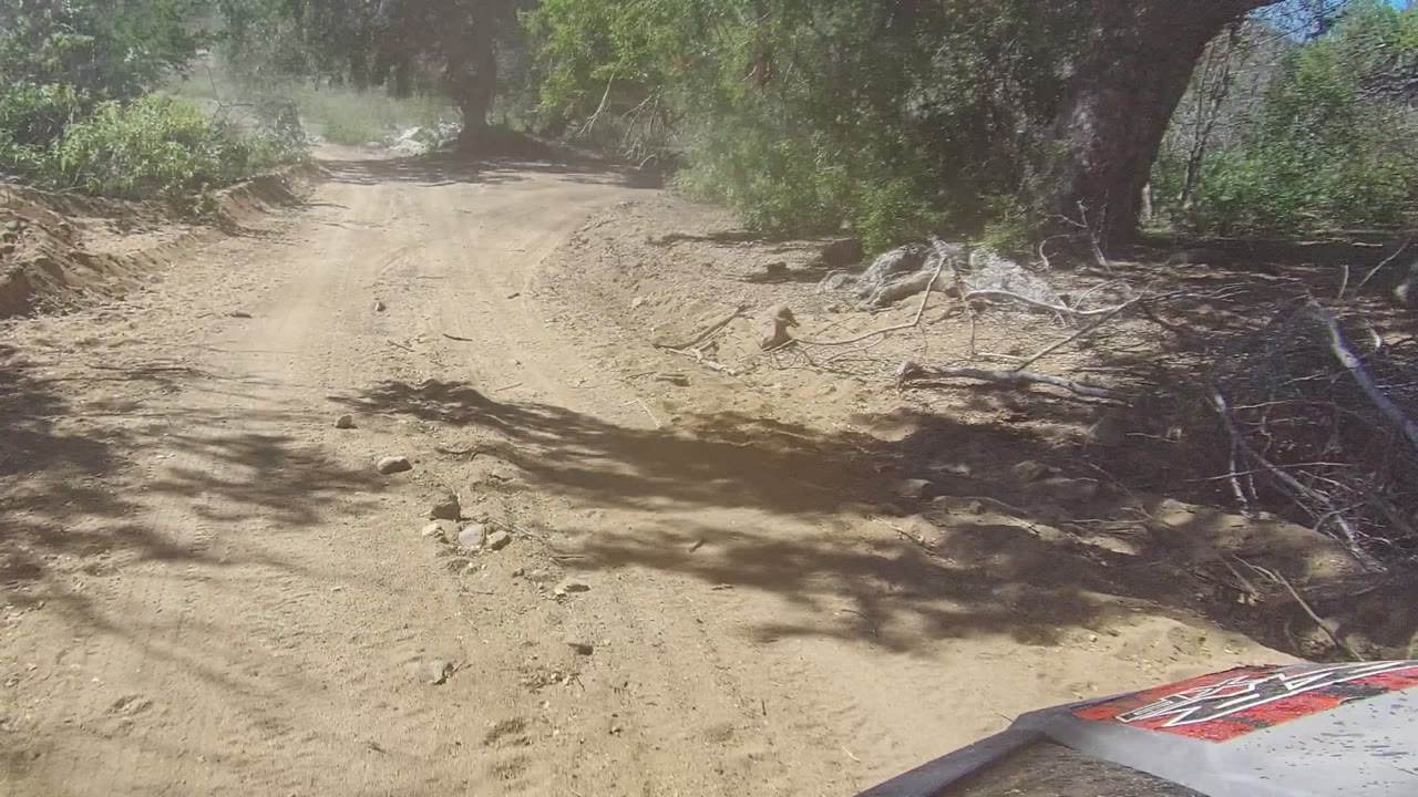 Los Cabos dirt trail under tree shade with rocks, brush, tire marks, and no visible people at the start of the clip.