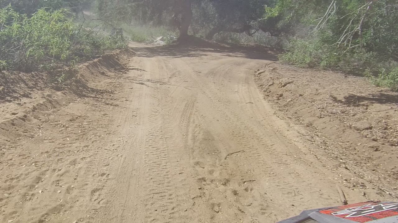 Rutted dirt road curving through brush and trees.