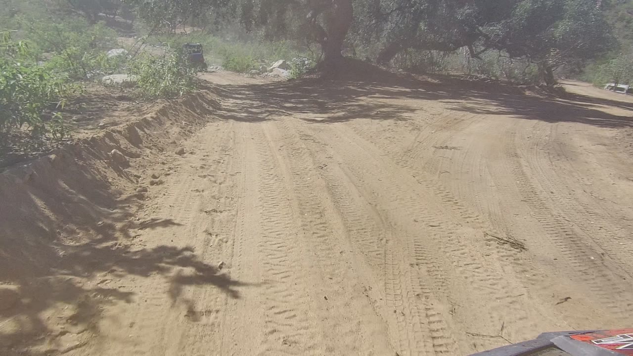 Wide Los Cabos dirt path bordered by scrub greenery and trees, with a dusty surface and no visible people.